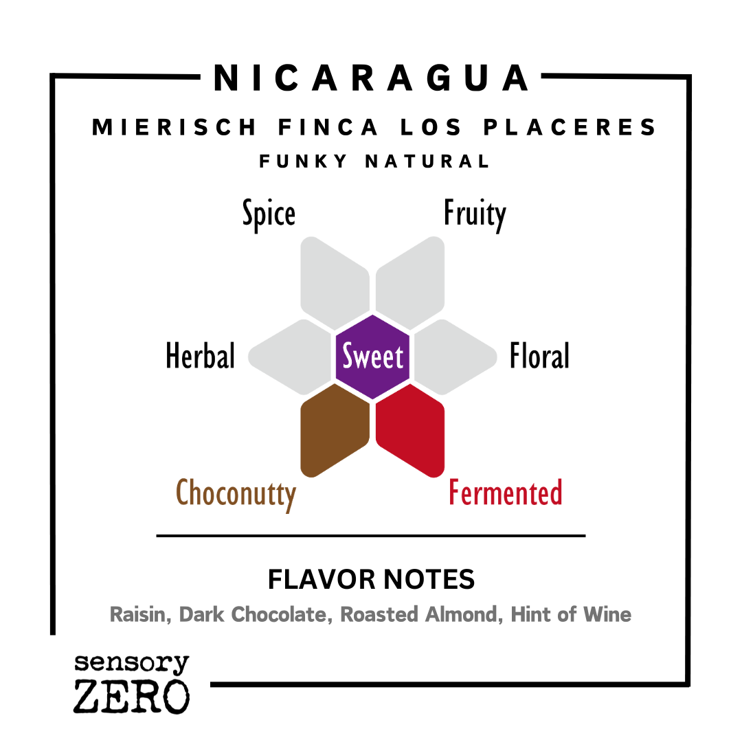 尼加拉瓜 | Mierisch Finca Los Placeres | 深度發酵日曬 - sensory ZERO, Specialty Coffee, Artisan Coffee, Coffee Workshops, Premium Coffee Beans, Coffee Brewing Equipment, Online Coffee Store, Coffee Gifts, Hong Kong Coffee, Freshly Roasted Coffee, Coffee Subscriptions, Coffee Accessories,  Tea Products, Gourmet Drinks, Wholesale Coffee Supply, B2B Coffee Solutions, 精品咖啡, 手工咖啡, 咖啡工作坊, 優質咖啡豆, 咖啡冲泡器具, 網上咖啡商店, 咖啡禮品, 香港咖啡, 新鲜烘焙咖啡, 咖啡訂閱, 咖啡配件, 美味飲品, 批發咖啡供應, B2B咖啡解决方案, B2B咖啡解決方案