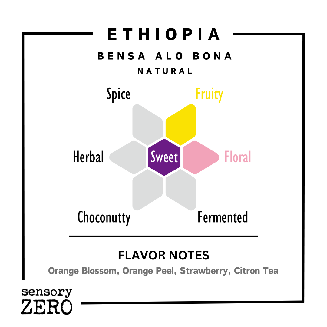 埃塞俄比亞 | Bensa ALO Bona | 日曬處理 - 掛耳包 (5包) - sensory ZERO, Specialty Coffee, Artisan Coffee, Coffee Workshops, Premium Coffee Beans, Coffee Brewing Equipment, Online Coffee Store, Coffee Gifts, Hong Kong Coffee, Freshly Roasted Coffee, Coffee Subscriptions, Coffee Accessories,  Tea Products, Gourmet Drinks, Wholesale Coffee Supply, B2B Coffee Solutions, 精品咖啡, 手工咖啡, 咖啡工作坊, 優質咖啡豆, 咖啡冲泡器具, 網上咖啡商店, 咖啡禮品, 香港咖啡, 新鲜烘焙咖啡, 咖啡訂閱, 咖啡配件, 美味飲品, 批發咖啡供應, B2B咖啡解决方案, B2B咖啡解決方案