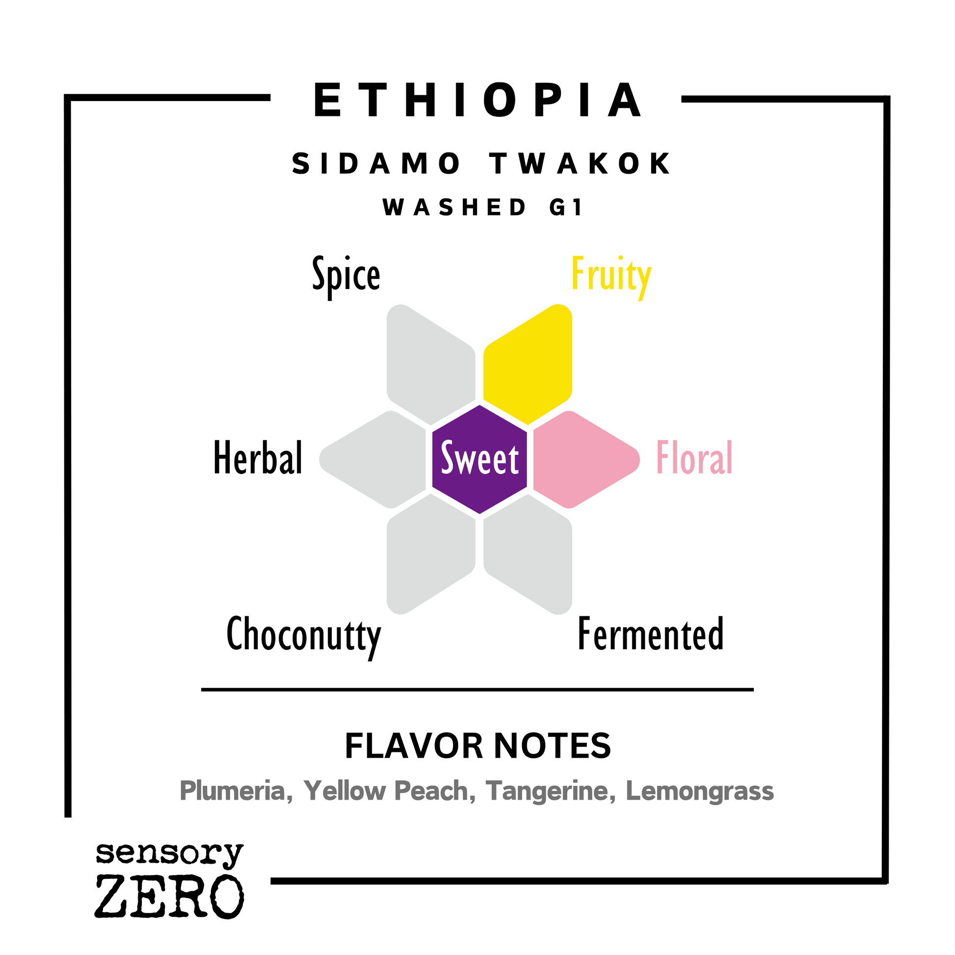 埃塞俄比亞 | Sidamo Twakok | 水洗處理 G1 - 掛耳包 (5包) - sensory ZERO, Specialty Coffee, Artisan Coffee, Coffee Workshops, Premium Coffee Beans, Coffee Brewing Equipment, Online Coffee Store, Coffee Gifts, Hong Kong Coffee, Freshly Roasted Coffee, Coffee Subscriptions, Coffee Accessories,  Tea Products, Gourmet Drinks, Wholesale Coffee Supply, B2B Coffee Solutions, 精品咖啡, 手工咖啡, 咖啡工作坊, 優質咖啡豆, 咖啡冲泡器具, 網上咖啡商店, 咖啡禮品, 香港咖啡, 新鲜烘焙咖啡, 咖啡訂閱, 咖啡配件, 美味飲品, 批發咖啡供應, B2B咖啡解决方案, B2B咖啡解決方案