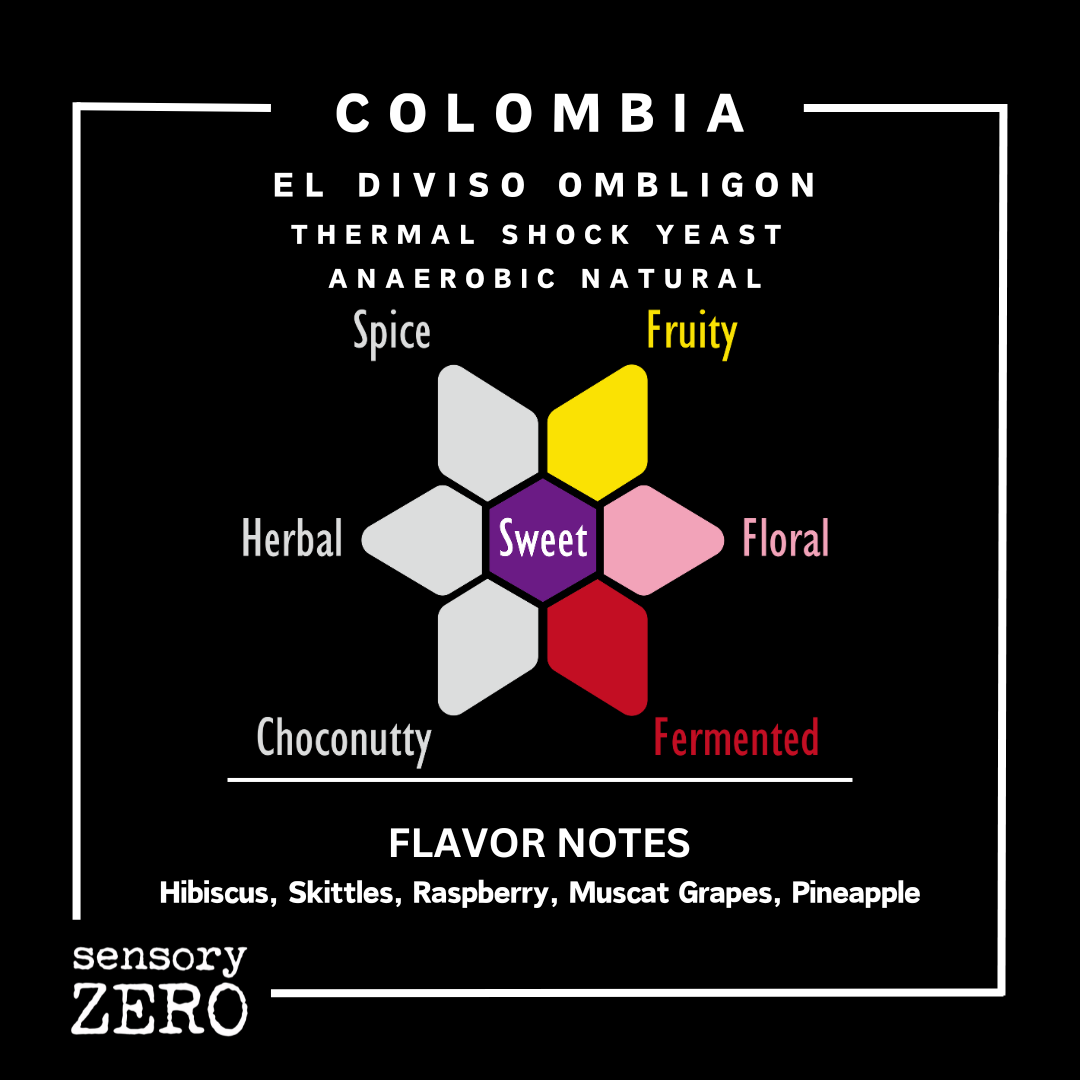 哥倫比亞 | El Diviso Ombligon | 熱衝擊酵母厭氧日曬處理 - sensory ZERO, Specialty Coffee, Artisan Coffee, Coffee Workshops, Premium Coffee Beans, Coffee Brewing Equipment, Online Coffee Store, Coffee Gifts, Hong Kong Coffee, Freshly Roasted Coffee, Coffee Subscriptions, Coffee Accessories,  Tea Products, Gourmet Drinks, Wholesale Coffee Supply, B2B Coffee Solutions, 精品咖啡, 手工咖啡, 咖啡工作坊, 優質咖啡豆, 咖啡冲泡器具, 網上咖啡商店, 咖啡禮品, 香港咖啡, 新鲜烘焙咖啡, 咖啡訂閱, 咖啡配件, 美味飲品, 批發咖啡供應, B2B咖啡解决方案, B2B咖啡解決方案
