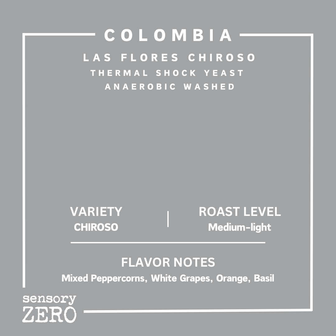 哥倫比亞 | Las Flores Chiroso | 熱衝擊酵母厭氧水洗處理
