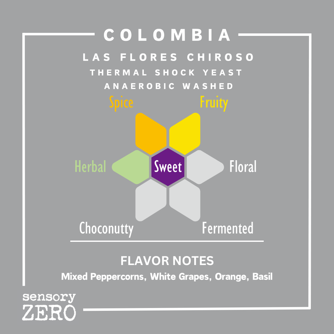 哥倫比亞 | Las Flores Chiroso | 熱衝擊酵母厭氧水洗處理 - sensory ZERO, Specialty Coffee, Artisan Coffee, Coffee Workshops, Premium Coffee Beans, Coffee Brewing Equipment, Online Coffee Store, Coffee Gifts, Hong Kong Coffee, Freshly Roasted Coffee, Coffee Subscriptions, Coffee Accessories,  Tea Products, Gourmet Drinks, Wholesale Coffee Supply, B2B Coffee Solutions, 精品咖啡, 手工咖啡, 咖啡工作坊, 優質咖啡豆, 咖啡冲泡器具, 網上咖啡商店, 咖啡禮品, 香港咖啡, 新鲜烘焙咖啡, 咖啡訂閱, 咖啡配件, 美味飲品, 批發咖啡供應, B2B咖啡解决方案, B2B咖啡解決方案