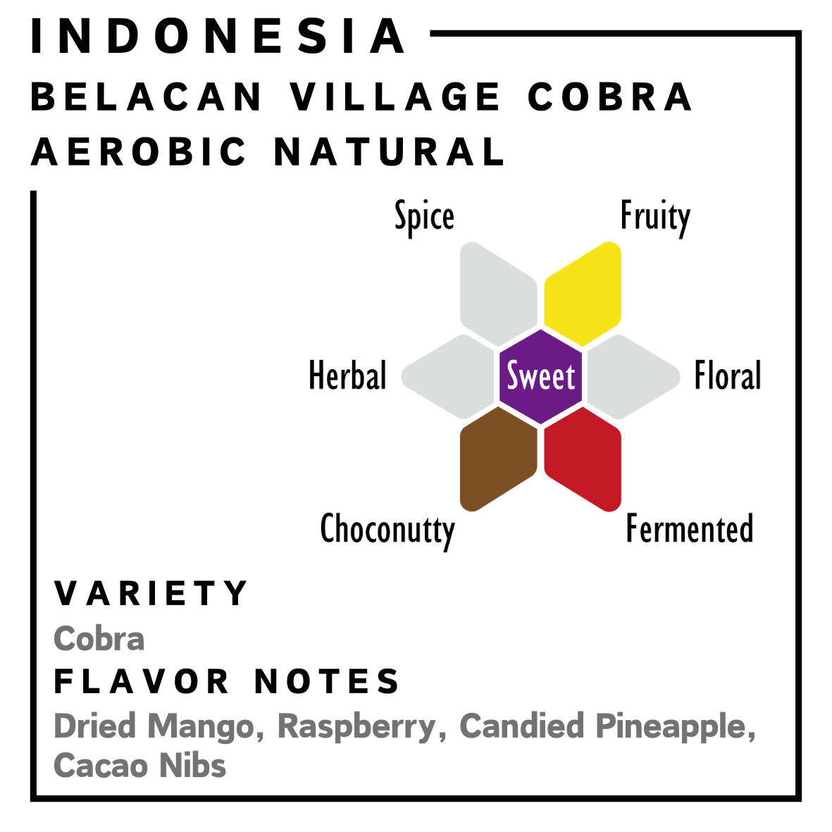 Indonesia | Belancan Village Cobra | Aerobic Natural