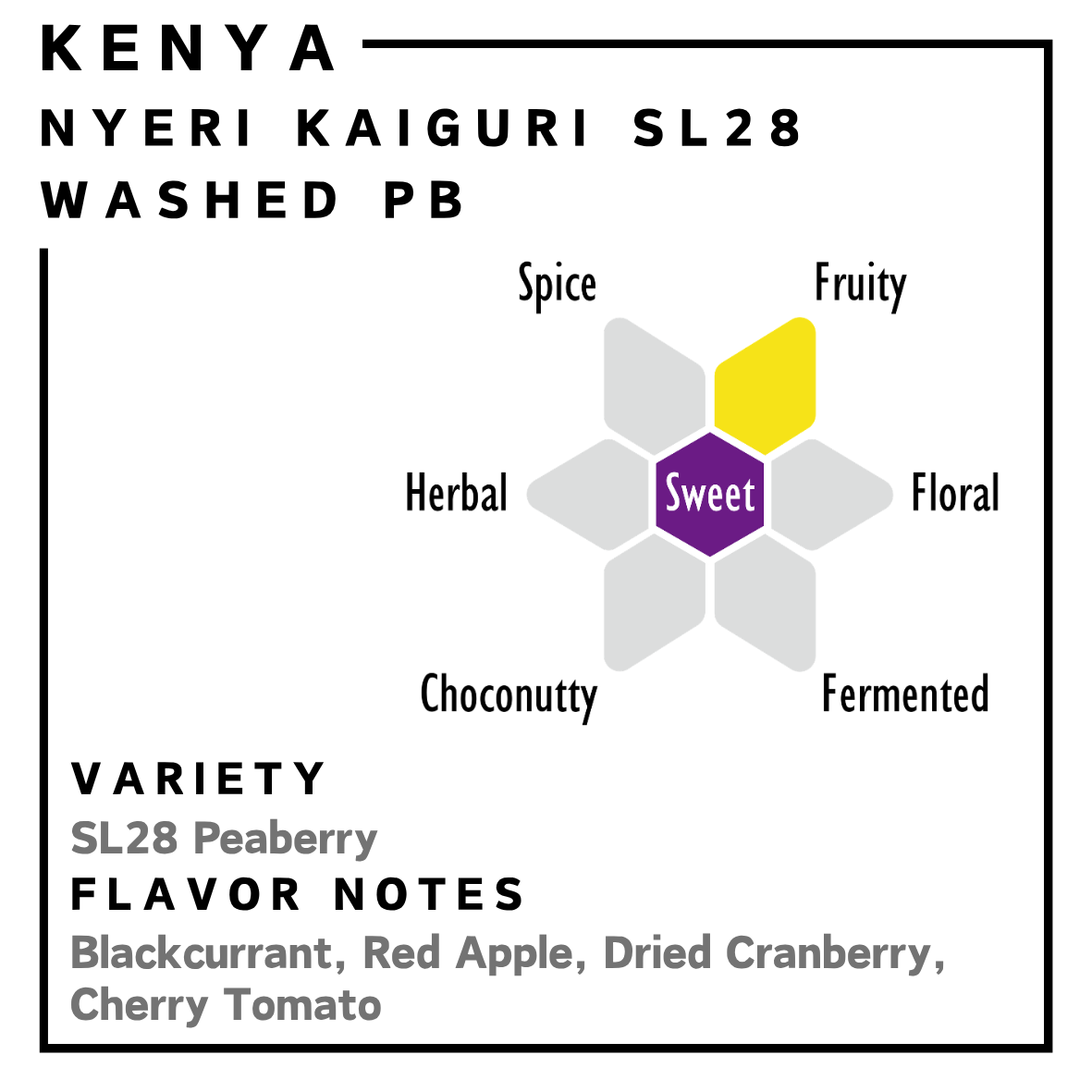 肯亞 | Nyeri Kaiguri SL28 | 水洗處理 圓豆