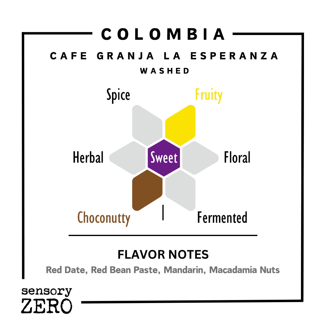 哥倫比亞 | Cafe Granja La Esperanza | 水洗處理 - 掛耳包 (5包)