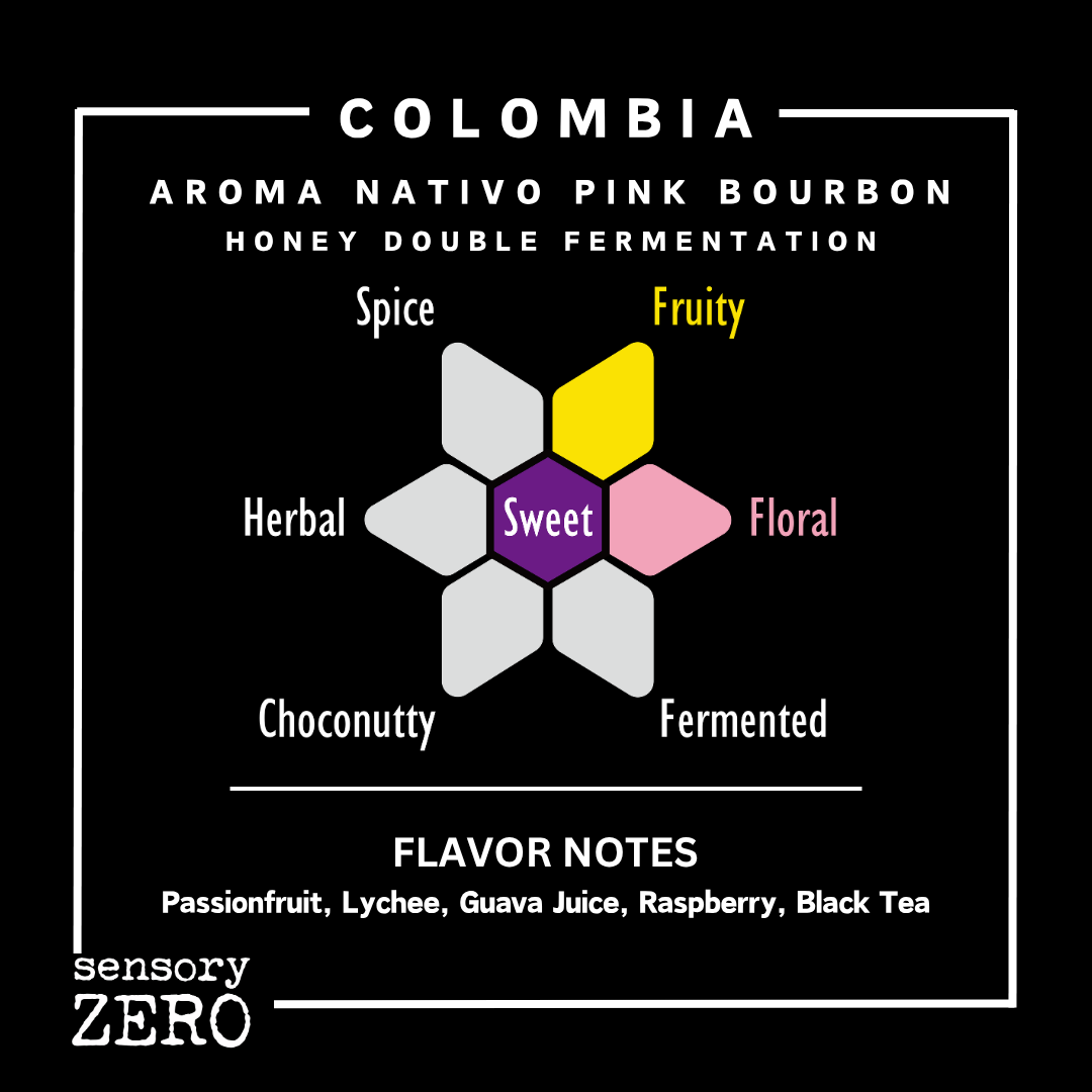 Colombia | Aroma Nativo Pink Bourbon | Honey Double Fermentation