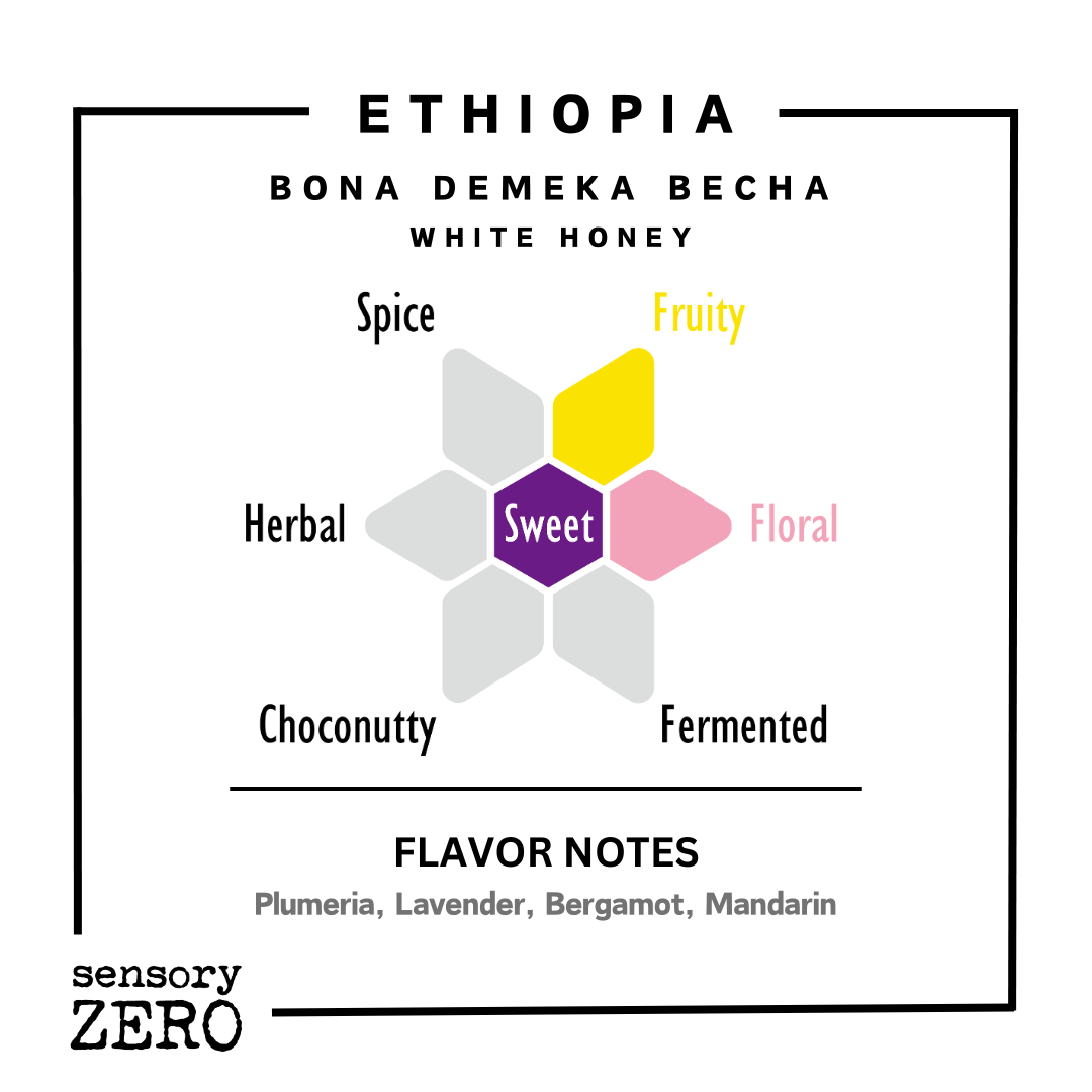 Ethiopia | Bona Demeka Becha | White Honey