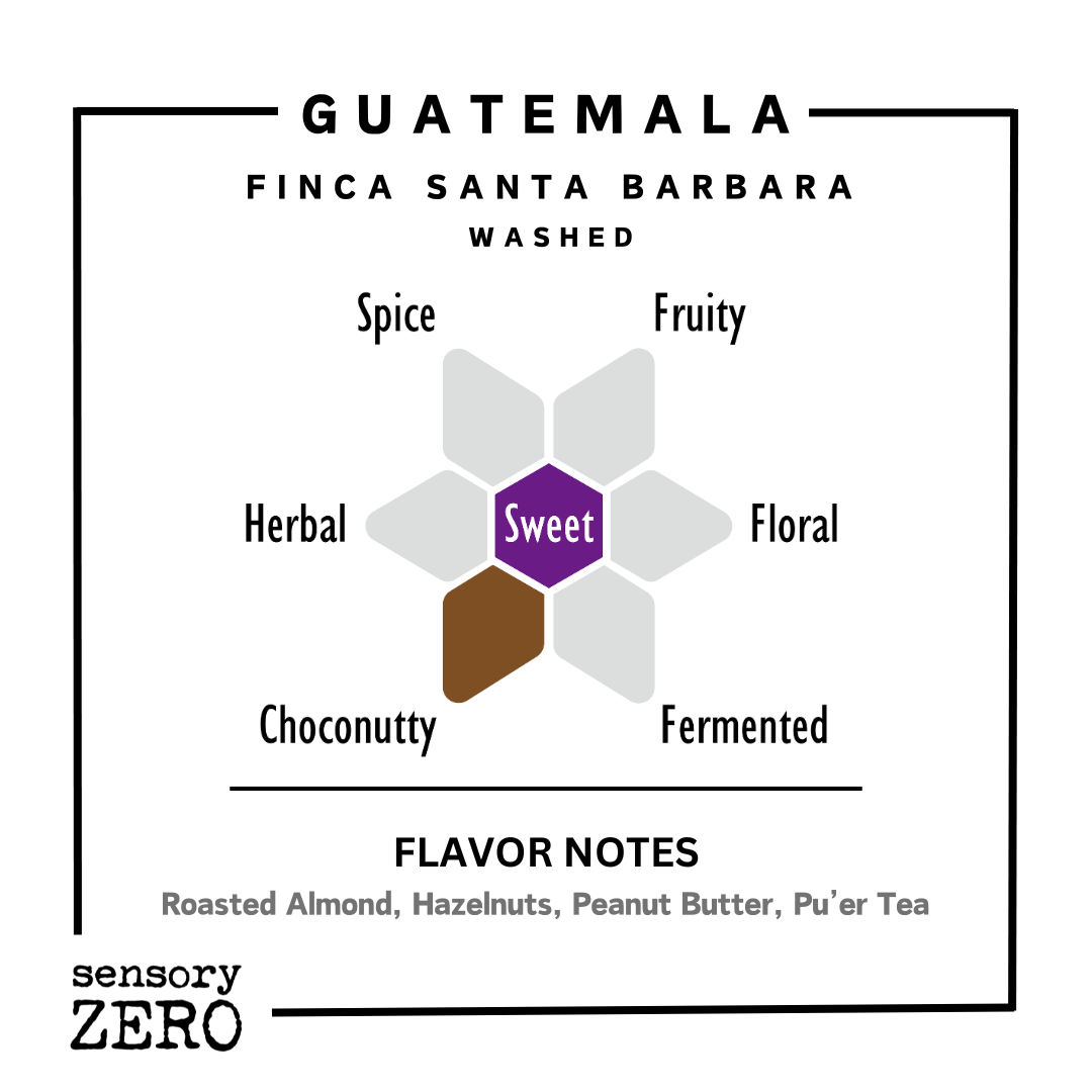 Guatemala | Finca Santa Barbara | Washed
