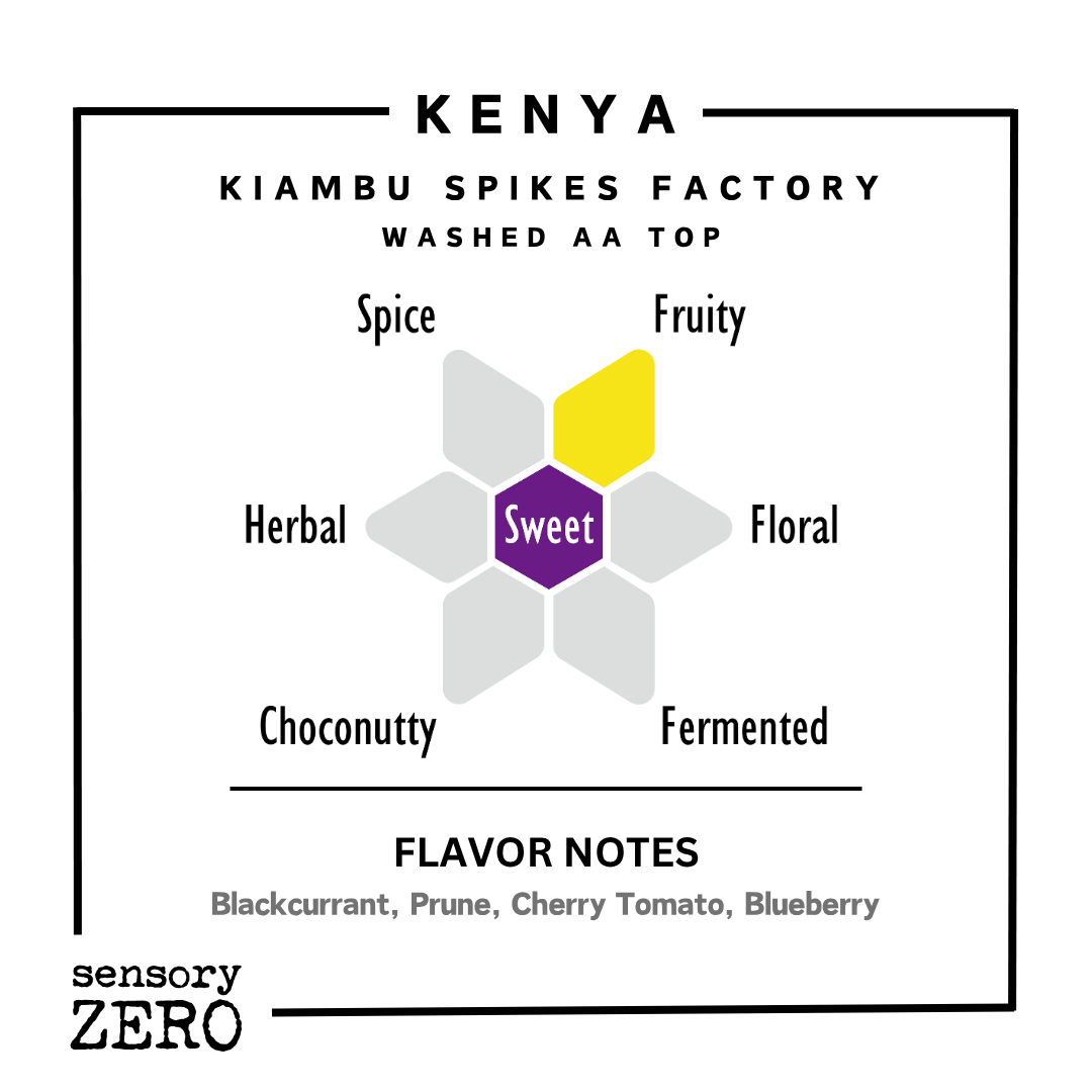 肯亞 | Kiambu Spikes Factory | 水洗處理 AA Top, sensory ZERO, , Specialty Coffee, Artisan Coffee, Coffee Workshops, Premium Coffee Beans, Coffee Brewing Equipment, Online Coffee Store, Coffee Gifts, Hong Kong Coffee, Freshly Roasted Coffee, Coffee Subscriptions, Coffee Accessories, Tea Products, Gourmet Drinks, Wholesale Coffee Supply, B2B Coffee Solutions, 精品咖啡, 手工咖啡, 咖啡工作坊, 優質咖啡豆, 咖啡冲泡器具, 網上咖啡商店, 咖啡禮品, 香港咖啡, 新鲜烘焙咖啡, 咖啡訂閱, 咖啡配件, 美味飲品, 批發咖啡供應,