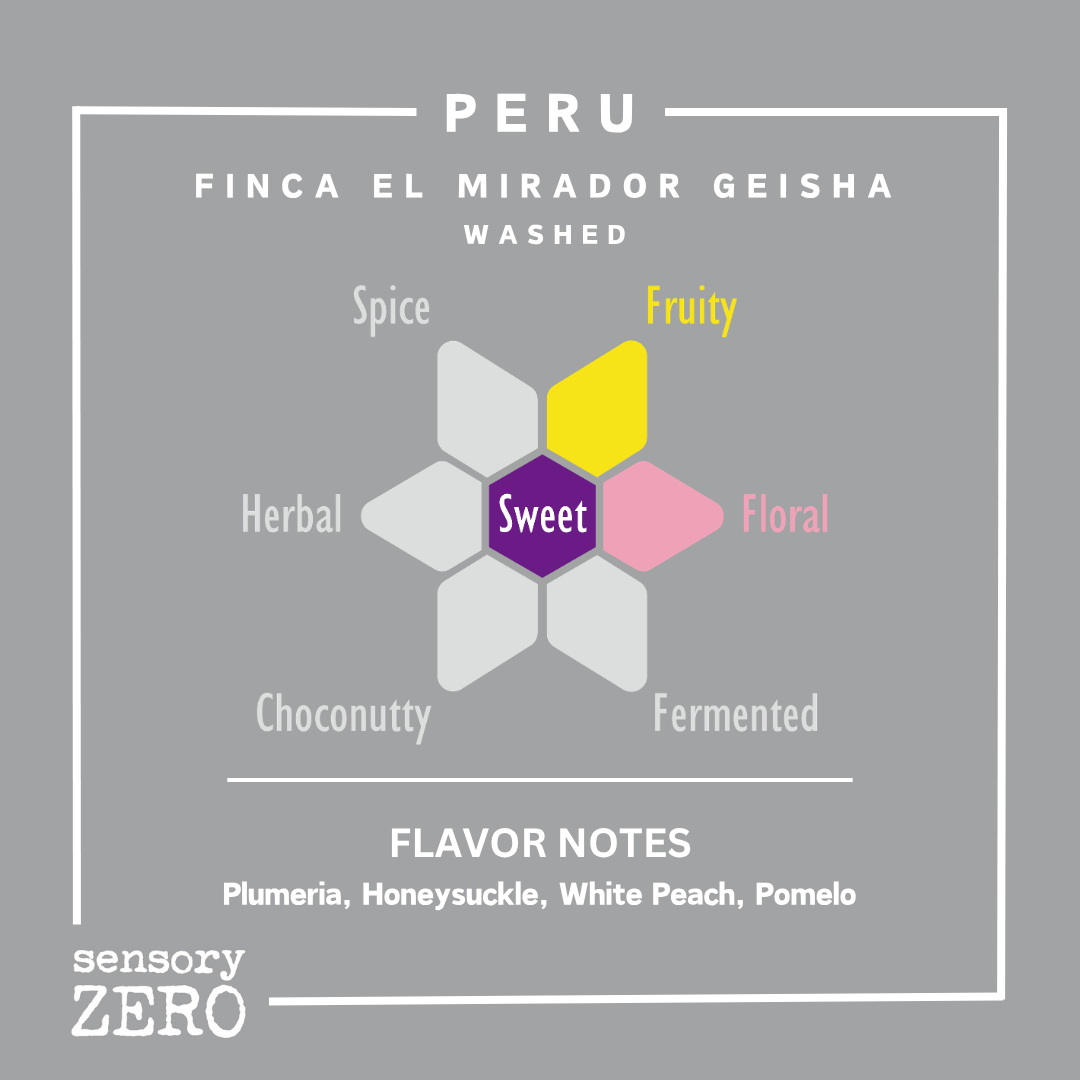 Peru | Finca El Mirador Geisha | Washed