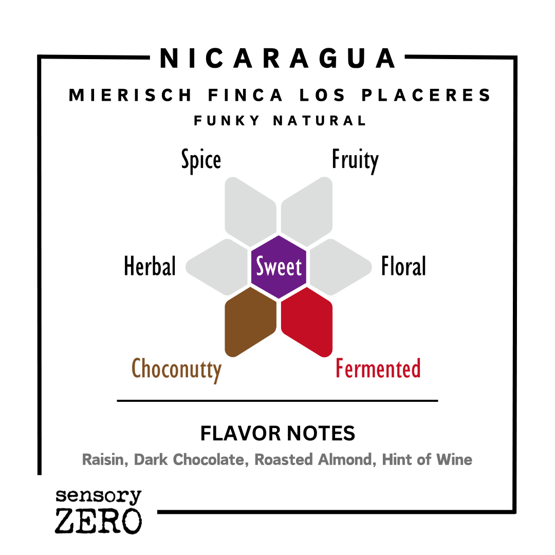 尼加拉瓜 | Mierisch Finca Los Placeres | 深度發酵日曬 - 掛耳包 (5包)