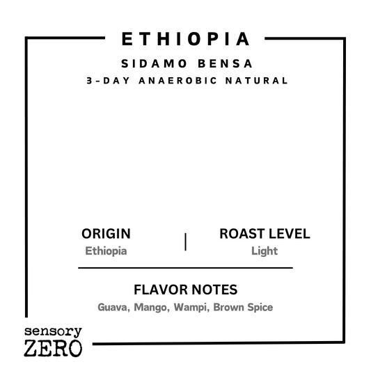 Ethiopia | Sidamo Bensa | 3-Day Anaerobic Natural