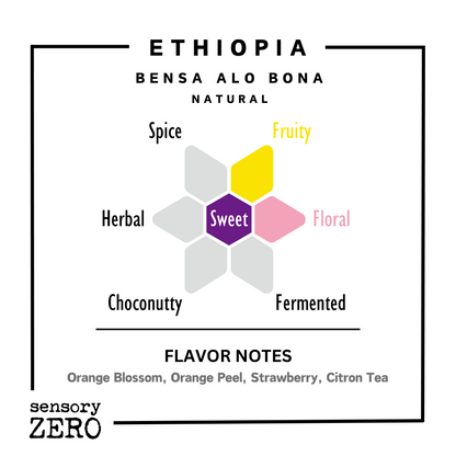 Ethiopia | Bensa ALO Bona | Natural