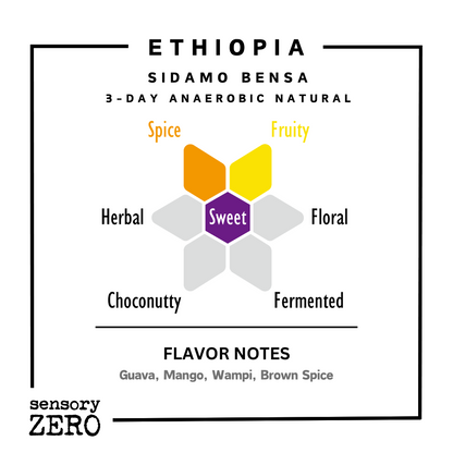 Ethiopia | Sidamo Bensa | 3-Day Anaerobic Natural