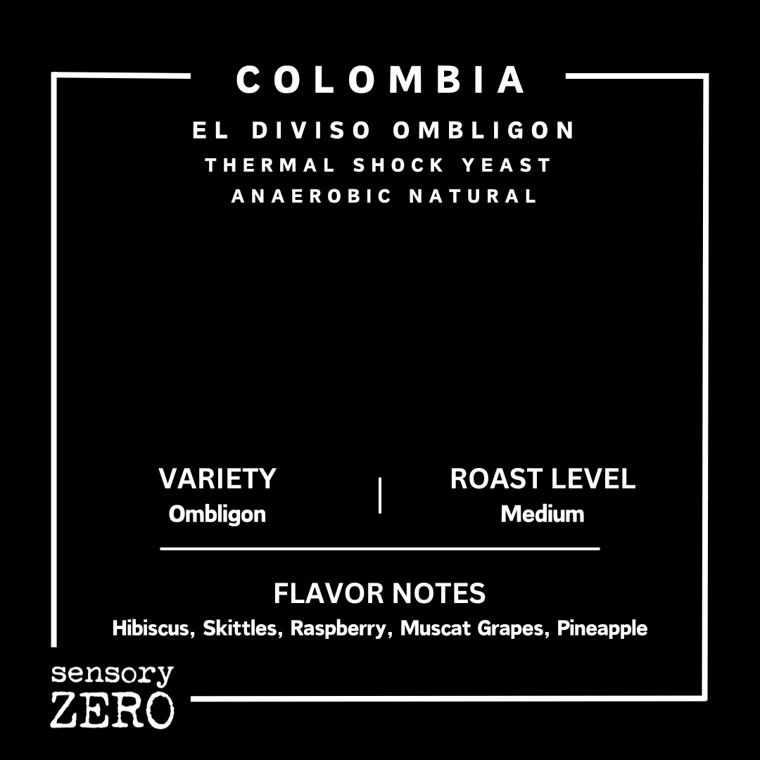 哥倫比亞 | El Diviso Ombligon | 熱衝擊酵母厭氧日曬處理 - sensory ZERO, Specialty Coffee, Artisan Coffee, Coffee Workshops, Premium Coffee Beans, Coffee Brewing Equipment, Online Coffee Store, Coffee Gifts, Hong Kong Coffee, Freshly Roasted Coffee, Coffee Subscriptions, Coffee Accessories,  Tea Products, Gourmet Drinks, Wholesale Coffee Supply, B2B Coffee Solutions, 精品咖啡, 手工咖啡, 咖啡工作坊, 優質咖啡豆, 咖啡冲泡器具, 網上咖啡商店, 咖啡禮品, 香港咖啡, 新鲜烘焙咖啡, 咖啡訂閱, 咖啡配件, 美味飲品, 批發咖啡供應, B2B咖啡解决方案, B2B咖啡解決方案