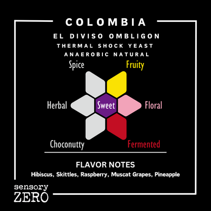 Colombia | El Diviso Ombligon | Thermal Shock Yeast Anaerobic Natural