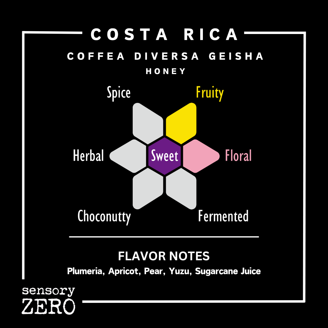 Costa Rica | Coffea Diversa Geisha | Honey