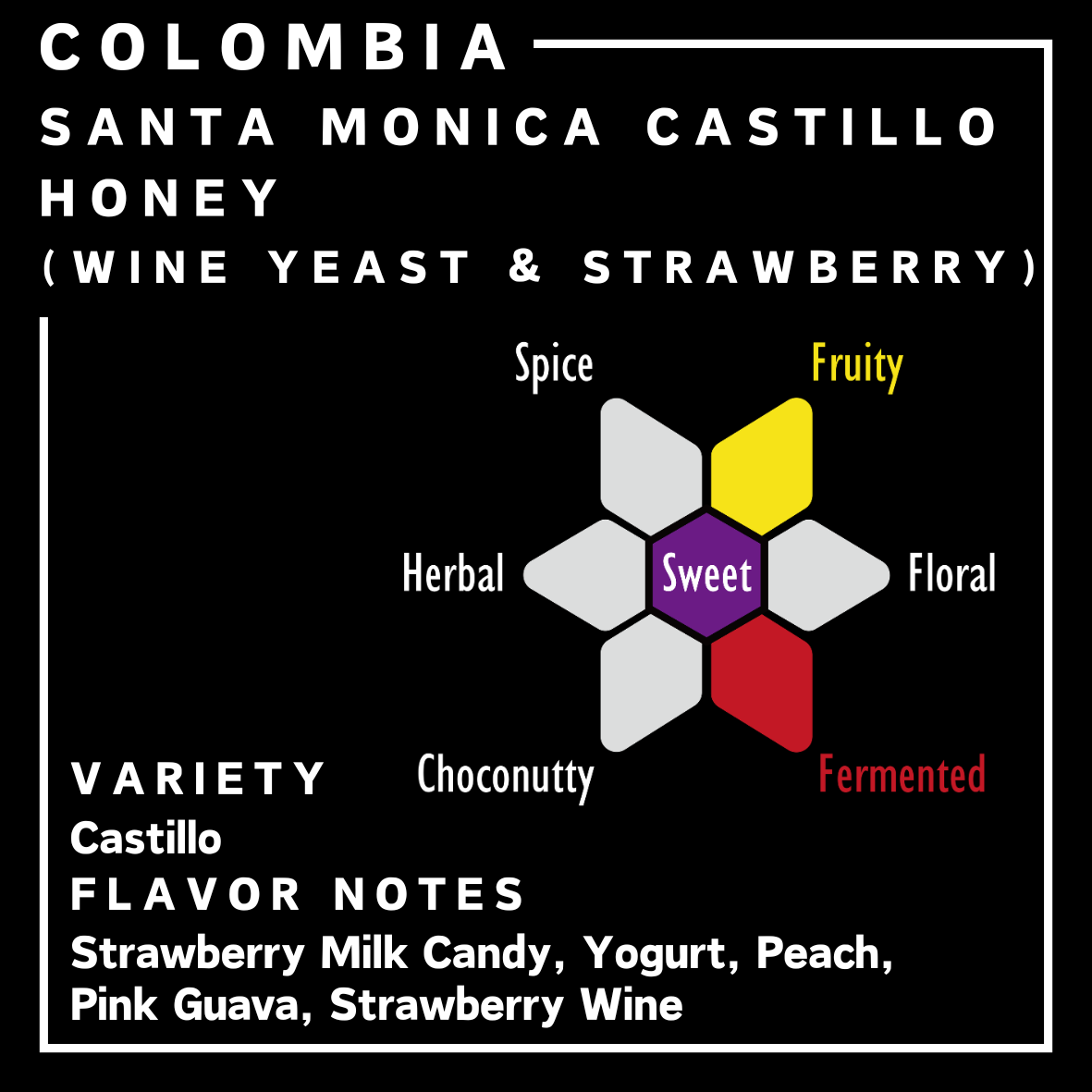 哥倫比亞 | Santa Monica Castillo | 蜜處理 (酒酵母 & 士多啤梨)