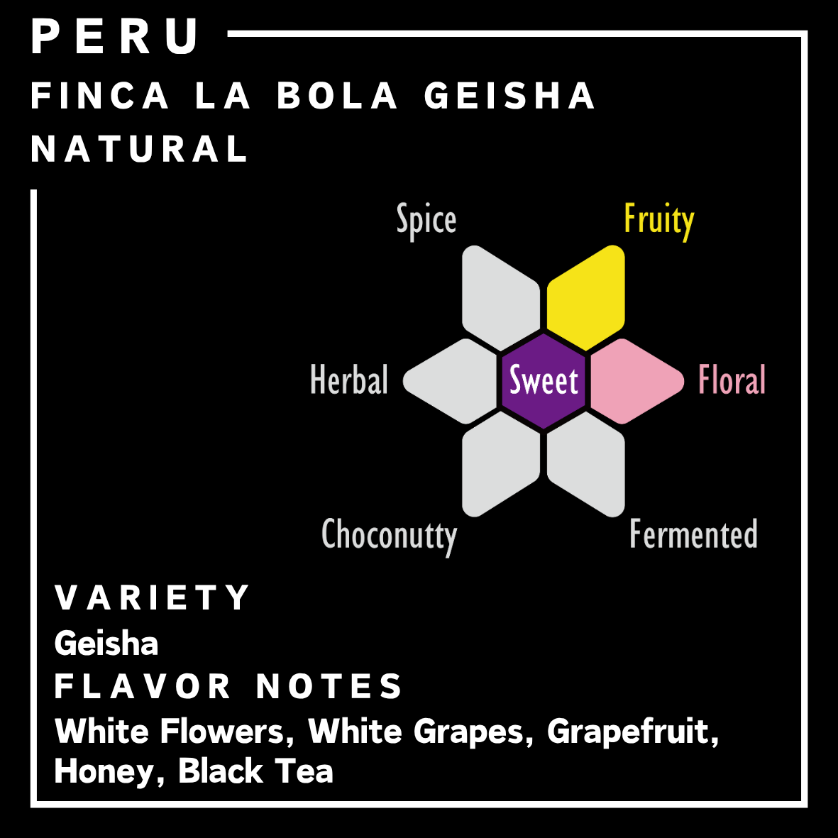 秘魯 | Finca La Bola Geisha | 日曬處理