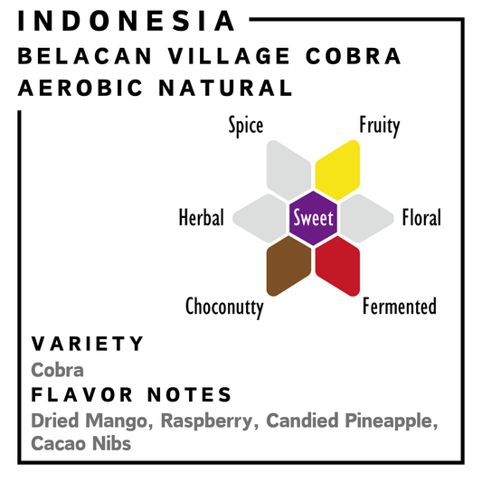 印尼 | Belancan Village Cobra | 帶氧發酵日曬處理