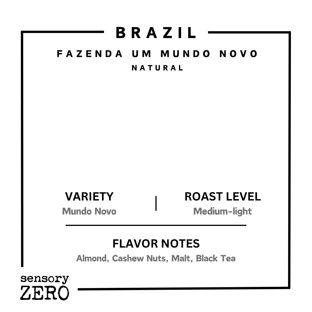巴西 | Fazenda Um Mundo Novo | 日曬處理 - 掛耳包 (5包), sensory ZERO, , Specialty Coffee, Artisan Coffee, Coffee Workshops, Premium Coffee Beans, Coffee Brewing Equipment, Online Coffee Store, Coffee Gifts, Hong Kong Coffee, Freshly Roasted Coffee, Coffee Subscriptions, Coffee Accessories,  Tea Products, Gourmet Drinks, Wholesale Coffee Supply, B2B Coffee Solutions, 精品咖啡, 手工咖啡, 咖啡工作坊, 優質咖啡豆, 咖啡冲泡器具, 網上咖啡商店, 咖啡禮品, 香港咖啡, 新鲜烘焙咖啡, 咖啡訂閱, 咖啡配件, 美味飲品, 批發咖啡供應, 