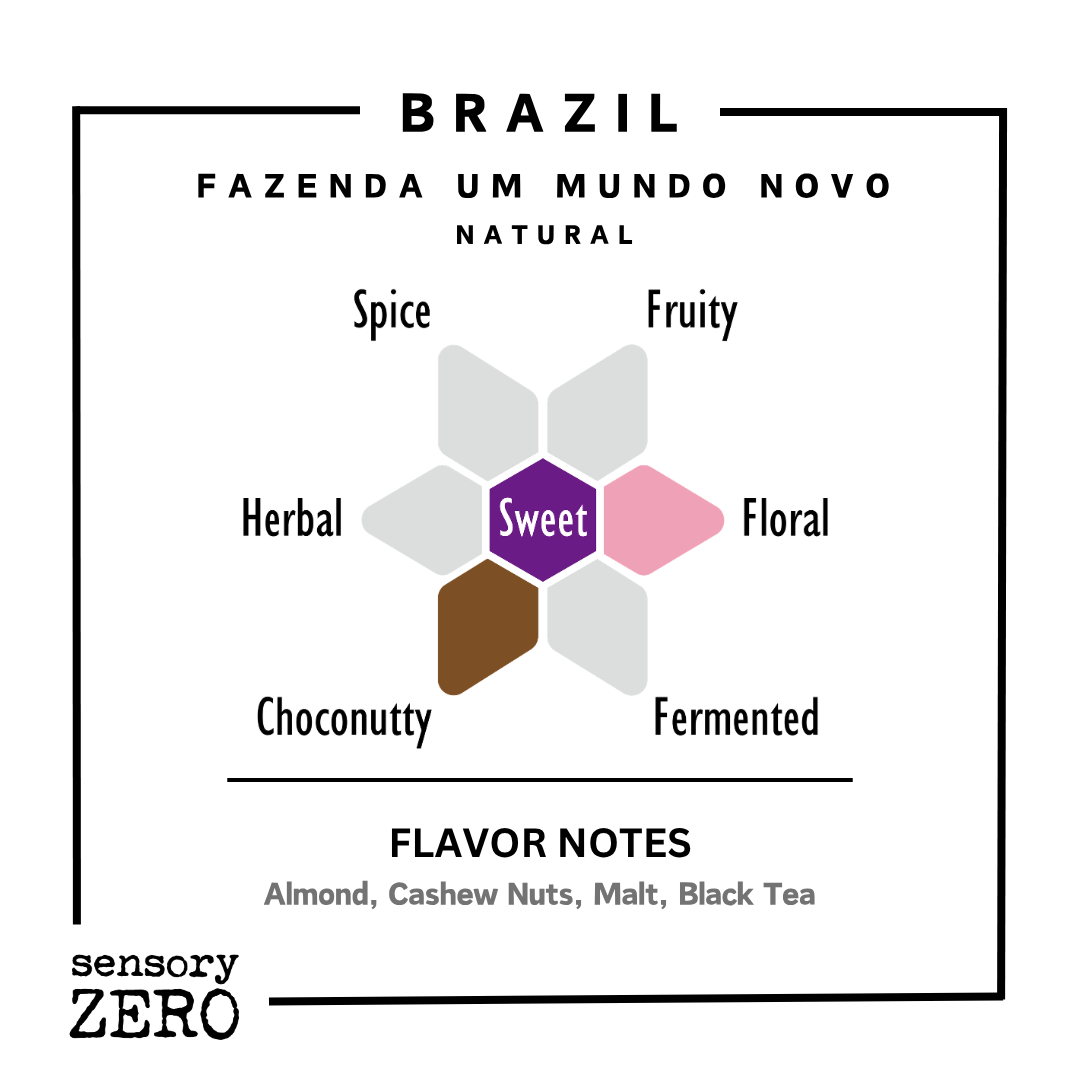 巴西 | Fazenda Um Mundo Novo | 日曬處理 - 掛耳包 (5包), sensory ZERO, , Specialty Coffee, Artisan Coffee, Coffee Workshops, Premium Coffee Beans, Coffee Brewing Equipment, Online Coffee Store, Coffee Gifts, Hong Kong Coffee, Freshly Roasted Coffee, Coffee Subscriptions, Coffee Accessories,  Tea Products, Gourmet Drinks, Wholesale Coffee Supply, B2B Coffee Solutions, 精品咖啡, 手工咖啡, 咖啡工作坊, 優質咖啡豆, 咖啡冲泡器具, 網上咖啡商店, 咖啡禮品, 香港咖啡, 新鲜烘焙咖啡, 咖啡訂閱, 咖啡配件, 美味飲品, 批發咖啡供應, 
