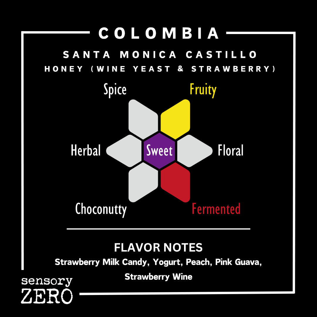 哥倫比亞 | Santa Monica Castillo | 蜜處理 (酒酵母 & 士多啤梨), sensory ZERO, , Specialty Coffee, Artisan Coffee, Coffee Workshops, Premium Coffee Beans, Coffee Brewing Equipment, Online Coffee Store, Coffee Gifts, Hong Kong Coffee, Freshly Roasted Coffee, Coffee Subscriptions, Coffee Accessories,  Tea Products, Gourmet Drinks, Wholesale Coffee Supply, B2B Coffee Solutions, 精品咖啡, 手工咖啡, 咖啡工作坊, 優質咖啡豆, 咖啡冲泡器具, 網上咖啡商店, 咖啡禮品, 香港咖啡, 新鲜烘焙咖啡, 咖啡訂閱, 咖啡配件, 美味飲品, 批發咖啡供應, 