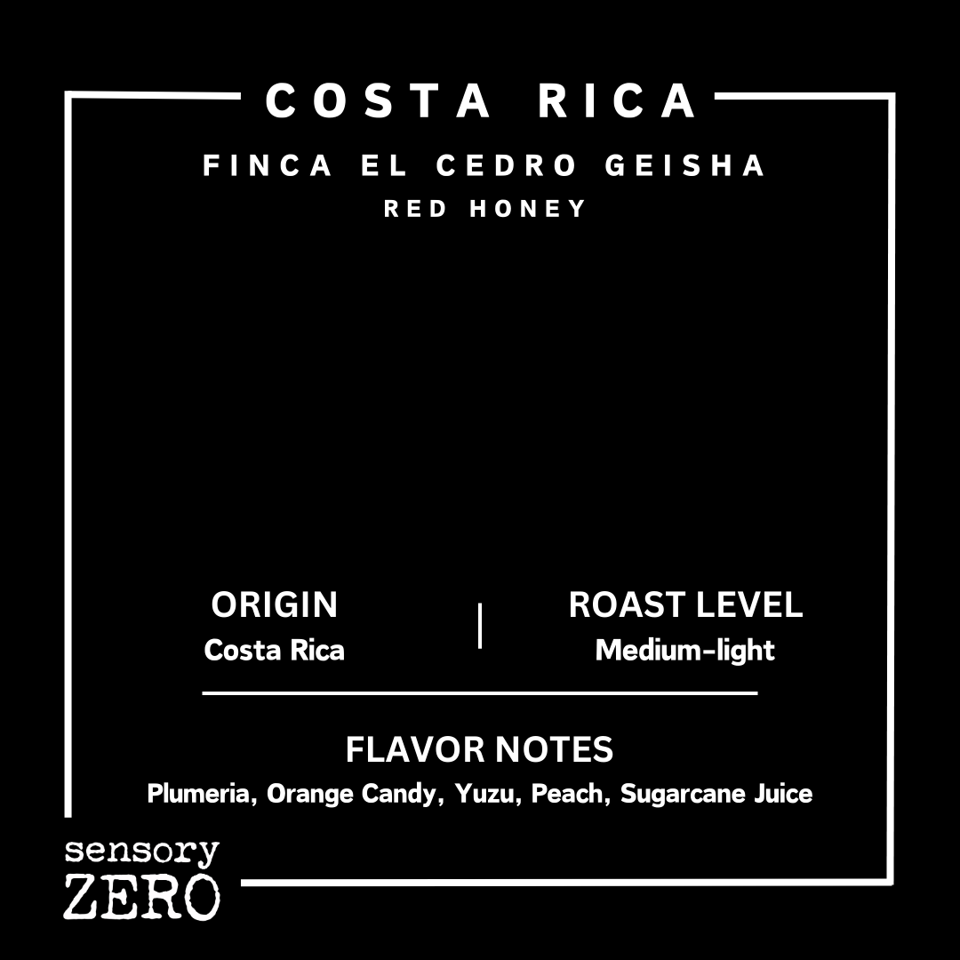哥斯達黎加 | Finca El Cedro Geisha | 紅蜜處理, sensory ZERO, , Specialty Coffee, Artisan Coffee, Coffee Workshops, Premium Coffee Beans, Coffee Brewing Equipment, Online Coffee Store, Coffee Gifts, Hong Kong Coffee, Freshly Roasted Coffee, Coffee Subscriptions, Coffee Accessories,  Tea Products, Gourmet Drinks, Wholesale Coffee Supply, B2B Coffee Solutions, 精品咖啡, 手工咖啡, 咖啡工作坊, 優質咖啡豆, 咖啡冲泡器具, 網上咖啡商店, 咖啡禮品, 香港咖啡, 新鲜烘焙咖啡, 咖啡訂閱, 咖啡配件, 美味飲品, 批發咖啡供應, 