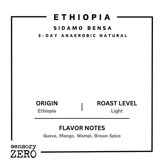 Ethiopia | Sidamo Bensa | 3-Day Anaerobic Natural - Drip Bags (5 Packs)