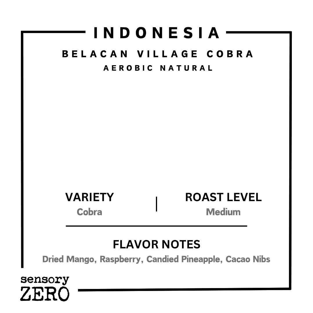 印尼 | Belancan Village Cobra | 帶氧發酵日曬處理 - 掛耳包 (5包)