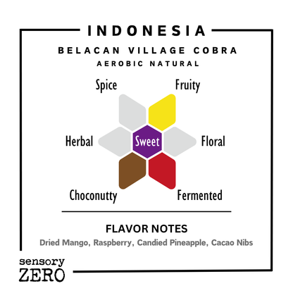 印尼 | Belancan Village Cobra | 帶氧發酵日曬處理 - 掛耳包 (5包)
