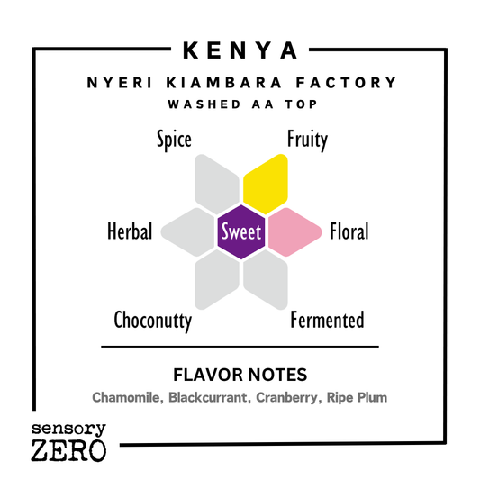 Kenya | Nyeri Kiambara Factory | Washed AA Top - Drip Bags (5 Packs)