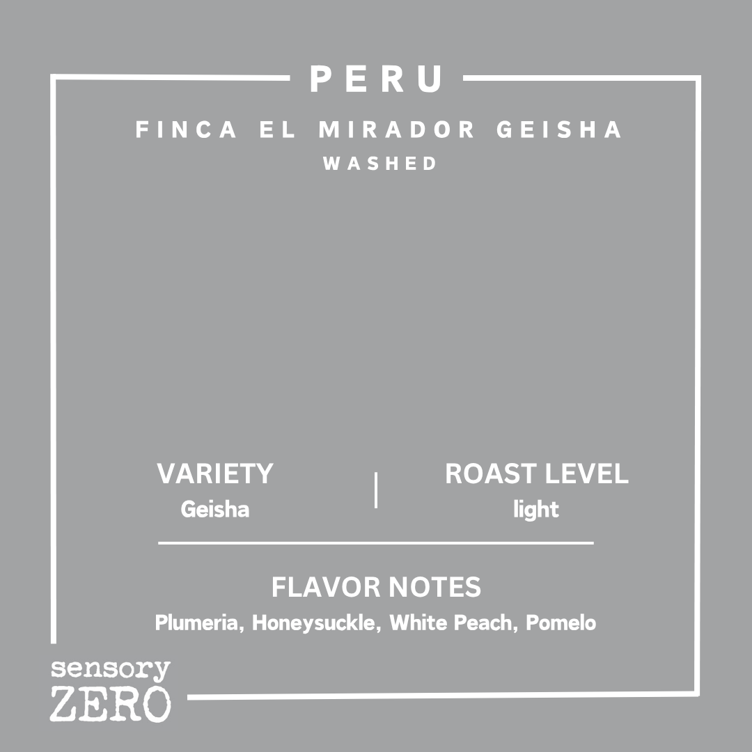 Peru | Finca El Mirador Geisha | Washed