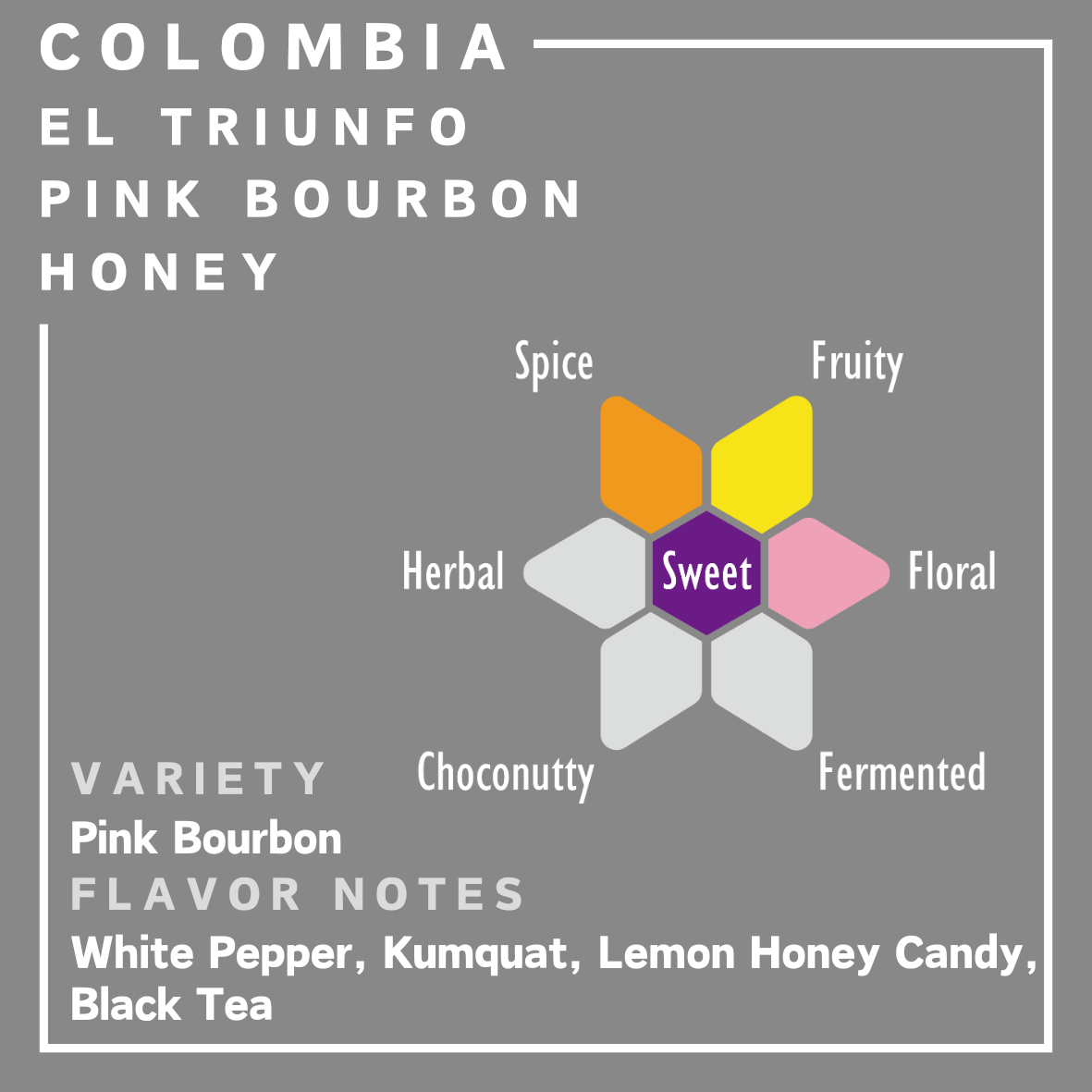 哥倫比亞 | El Triunfo Pink Bourbon | 蜜處理