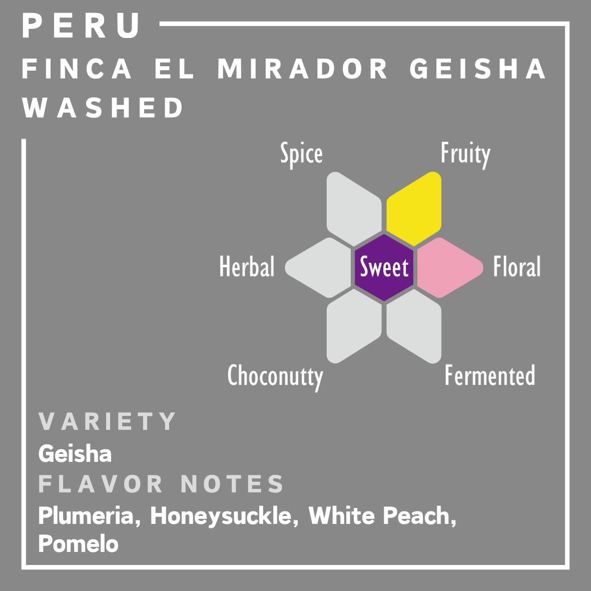 Peru | Finca El Mirador Geisha | Washed